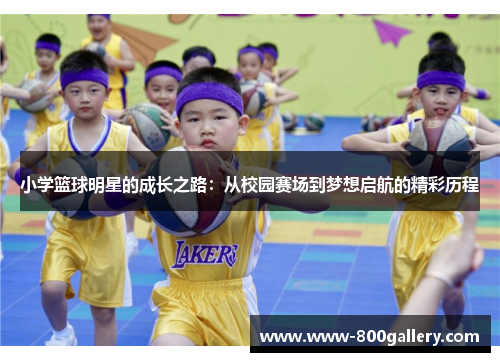 小学篮球明星的成长之路：从校园赛场到梦想启航的精彩历程