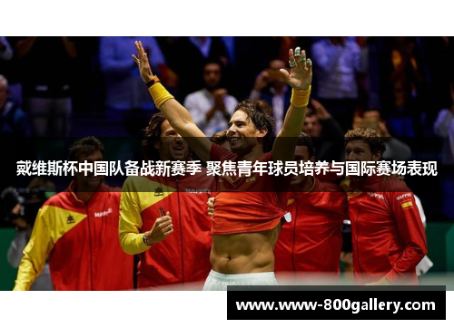戴维斯杯中国队备战新赛季 聚焦青年球员培养与国际赛场表现